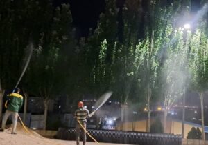 تداوم عملیات سم‌پاشی بهاره درختان در سطح منطقه ۷ تبریز