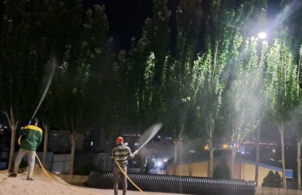 تداوم عملیات سم‌پاشی بهاره درختان در سطح منطقه ۷ تبریز