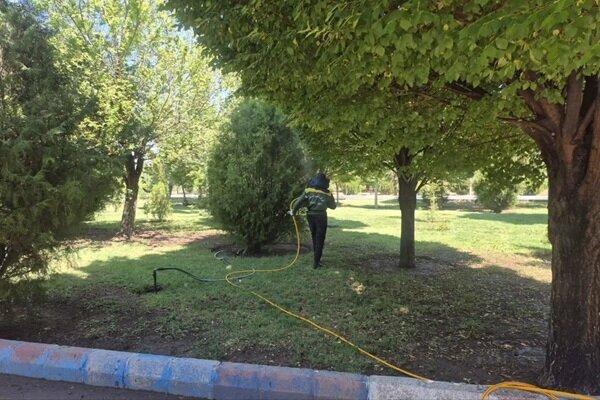 تداوم اجرای عملیات سم پاشی بهاره درختان حوزه شهرداری منطقه ۶ تبریز تداوم اجرای عملیات سم پاشی بهاره درختان حوزه شهرداری منطقه ۶ تبریز