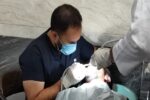 اردوی جهادی پزشکی و دندانپزشکی رایگان در منطقه ۴ تبریز برگزار شد