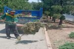 عملیات دفع علف‌های هرز و جمع‌آوری نخاله‌ها در سطح حوزه منطقه ۱۰