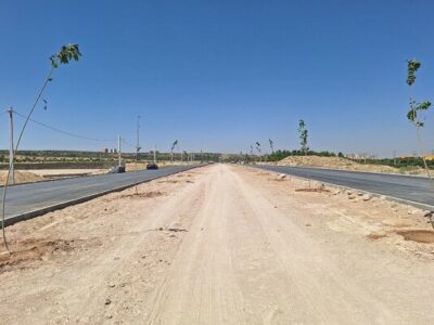 آغاز کاشت انواع گونه‌های گیاهی در خیابان ۳۲ متری تازه‌احداث وادی رحمت