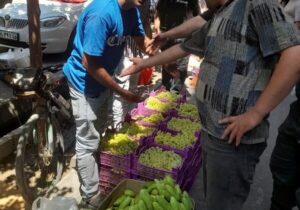 آغاز طرح جمعآوری دستفروشان و طبقچیهای بازار در راسته کوچه