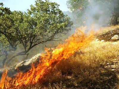 هشدار آتش‌نشانی تبریز نسبت به افزایش خطر آتش‌سوزی علف‌های هرز در فصل گرما/۴۱۹ عملیات اطفاء حریق از ابتدای سال
