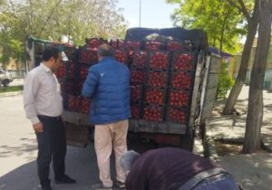 اجرای طرح ضربتی برای رفع سد معبر و تسهیل عبور و مرور شهروندان