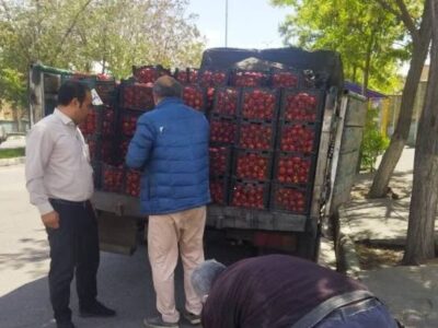 اجرای طرح ضربتی برای رفع سد معبر و تسهیل عبور و مرور شهروندان