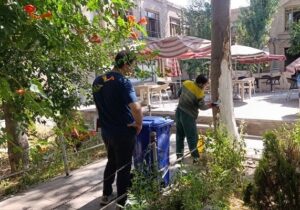 اندود کاری تنه درختان پوسیده کاروانسراهای بازار تاریخی تبریز