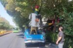 هرس شاخه‌های مزاحم درختان در مسیر بی‌آرتی محدوده شهرداری منطقه ۸
