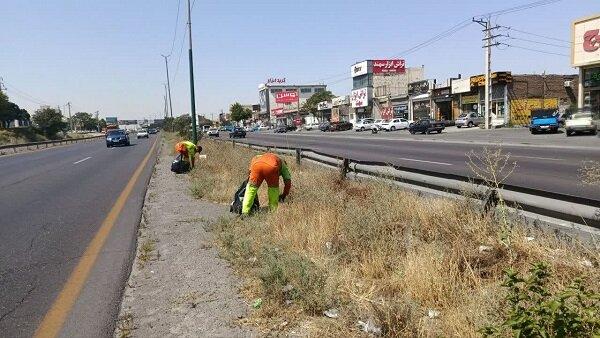عملیات پاکسازی گسترده درجاده تبریز- آذرشهر توسط شهرداری منطقه ۷ اجرایی شد عملیات پاکسازی گسترده درجاده تبریز- آذرشهر توسط شهرداری منطقه ۷ اجرایی شد