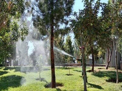 ساماندهی فضای سبز منطقه ۱۰ با ترمیم تشتک درختان و دفع علفهای هرز