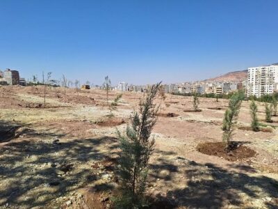 آغاز کاشت سایت ستاد بحران تبریز در راستای توسعه ۶۰۰ هکتاری فضای سبز
