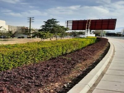 هرس و فرمدهی ارقام ردیفی در معابر مرکزی تبریز با هدف ارتقای سیمای بصری شهر