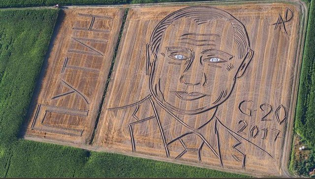 کشاورز ایتالیایی پرتره پوتین را روی مزرعه خود کشید +عکس