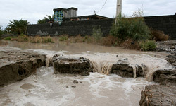 خسارت ۱۴۲هزار میلیارد ریالی سیلاب به بخش کشاورزی کشور
