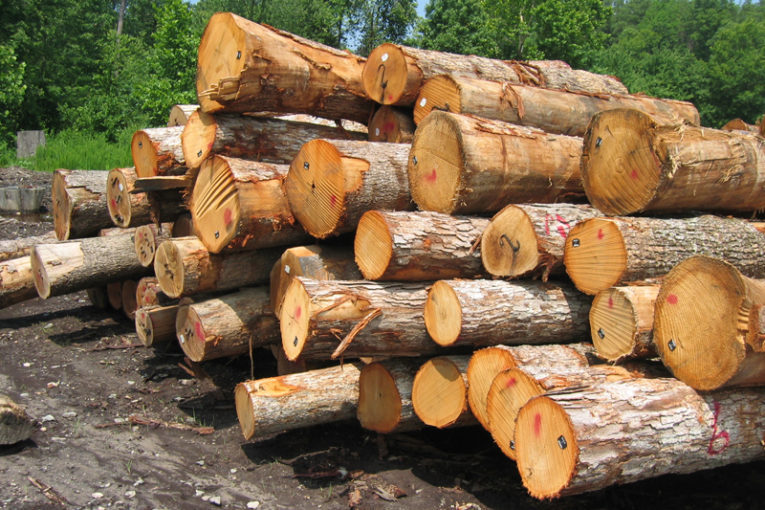 کشف ۱۸ تن چوب قاچاق در شهرستان اهر