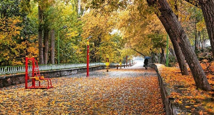 اجرای طرح پاییزی در تبریز/ خیابان‌هایی با برگ های زرد و نارنجی