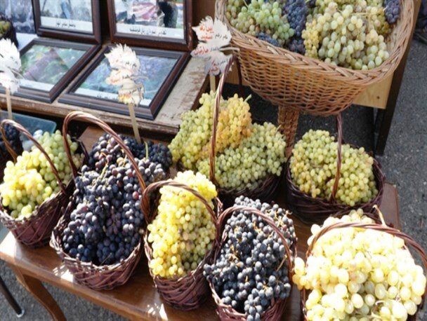 جشنواره «انگور و دوشاب» در تفرجگاه عینالی برگزار می‌شود