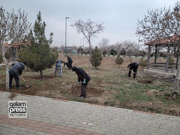 ایجاد تشتک پای درختان در پارکها و رفوژهای معابر منطقه ۶
