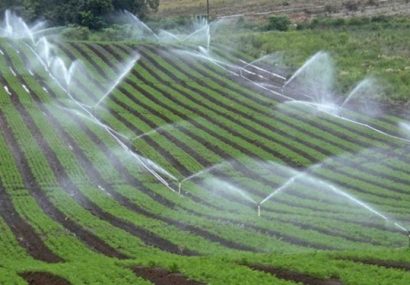 کاهش ۲۷٫۱ درصدی مصرف آب در سطح مزارع در حوضه دریاچه ارومیه