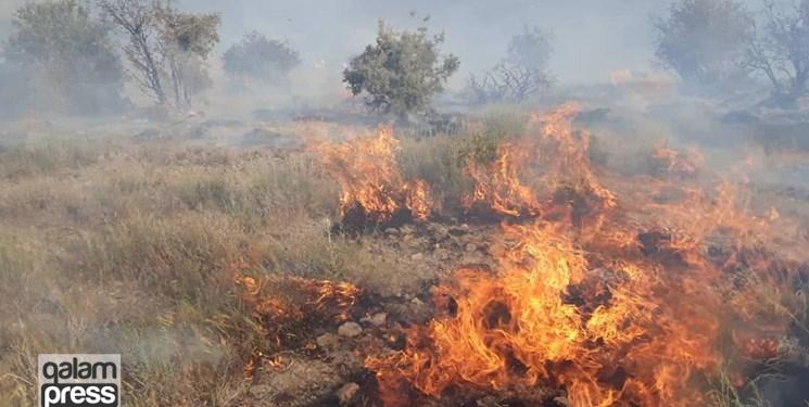 ته سیگار ۱۵ هکتار بستر رودخانه ارس را آتش زد/ ۴ گردشگر بازداشت شدند
