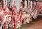 قیمت گوشت قرمز/ اجازه نمی دهیم از قیمت مصوب عدول کنند