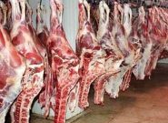 قیمت گوشت قرمز/ اجازه نمی دهیم از قیمت مصوب عدول کنند