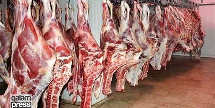 قیمت گوشت قرمز/ اجازه نمی‌دهیم از قیمت مصوب عدول کنند