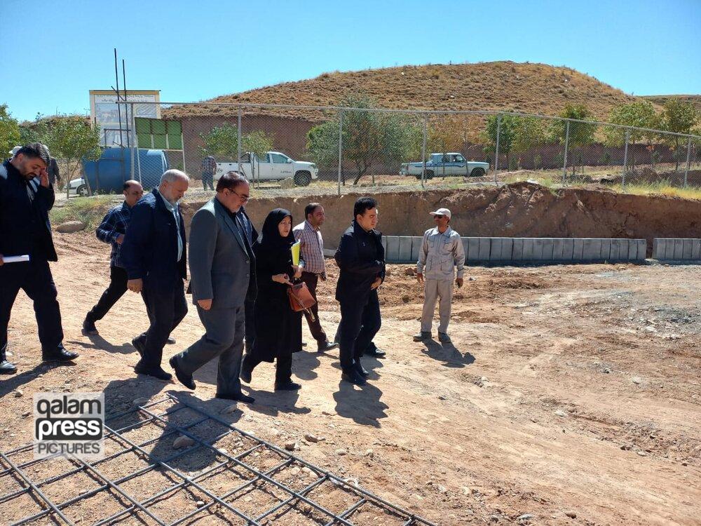 پیشرفت ۴۰ درصدی پروژه ساماندهی سگهای بلاصاحب