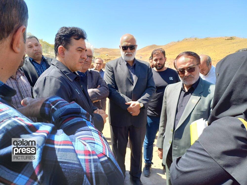 مشکلات ساماندهی سگهای بلاصاحب با اتمام پروژه پناهگاه حیوانات حل میشود