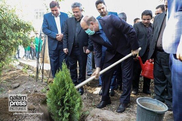 کاشت نهال در مدارس تبریز همزمان با آغاز سال تحصیلی جدید