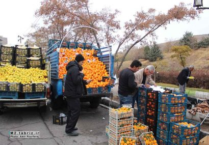 جمع‌آوری ۱۱۴ دستگاه وانت‌بار میوه‌فروش در تبریز/۳۰۰ دستگاه وانت بار در انحصار ۱۸ نفر