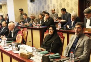 علت سفر ستوده‌نژاد به کرمان و حضور در سقوط بالگرد وزیر