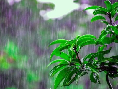 باران در چله تابستان تب تبریز را گرفت