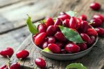 تولید بیش از۱۱۰۰ تن زغال اخته در استان آذربایجانشرقی