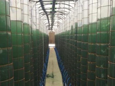 صدور اولین پروانه بهره برداری پودر خوراکی جلبک اسپیرولینا