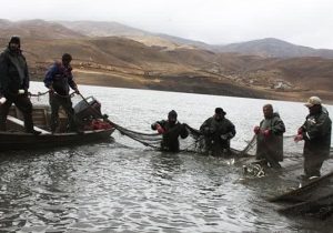 آغاز صید ۳۲۰۰ تن انواع ماهی از منابع آبی آذربایجان‌شرقی