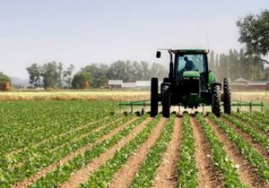سهم ۱۸ درصدی بخش کشاورزی در اشتغال آذربایجان‌شرقی