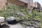 هشدار وزش تندباد و احتمال سقوط تجهیزات شهری