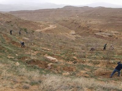 هدفگذاری افزایش ۱۰۰ هکتاری فضای سبز تفرجگاه جنگلی آرپادرهسی