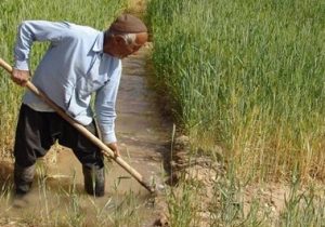 طرح حمایتی بخشودگی عام ۶ درصد وجه التزام بدهی کشاورزان آذربایجان شرقی