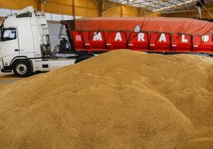 دستگیری کلاهبردار میلیاردی گندم