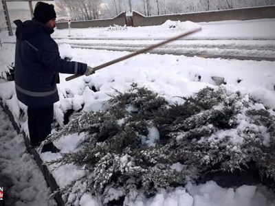 برف تکانی درختان شهرک خاوران در پی بارش برف