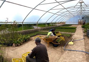 تفرجگاه عینالی در مسیر خودکفایی تولیدات گیاهی