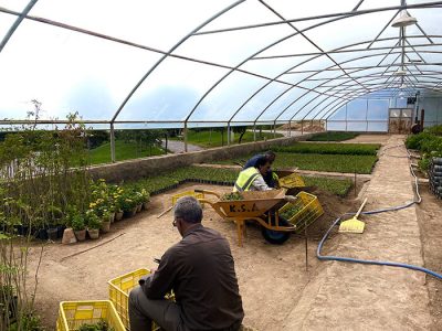 تفرجگاه عینالی در مسیر خودکفایی تولیدات گیاهی