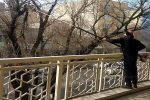 هرس زمستانه درختان در محدوده شهرداری منطقه ۸