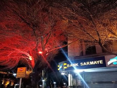 درختان محدوده میدان ساعت نورپردازی شدند