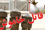 قاتل خاموش جان مادر و پسر تبریزی را گرفت