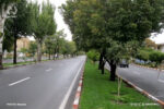 بازپیرایی مسیر گردشگری ائلگلی تا پایان سال جاری