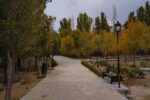 احداث و توسعه ۱۹ هکتاری سطوح پارکی تبریز در سال ۱۴۰۳
