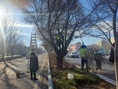 برنامهریزی برای بهرهمندی از شیوههای نوین نگهداشت فضایسبز